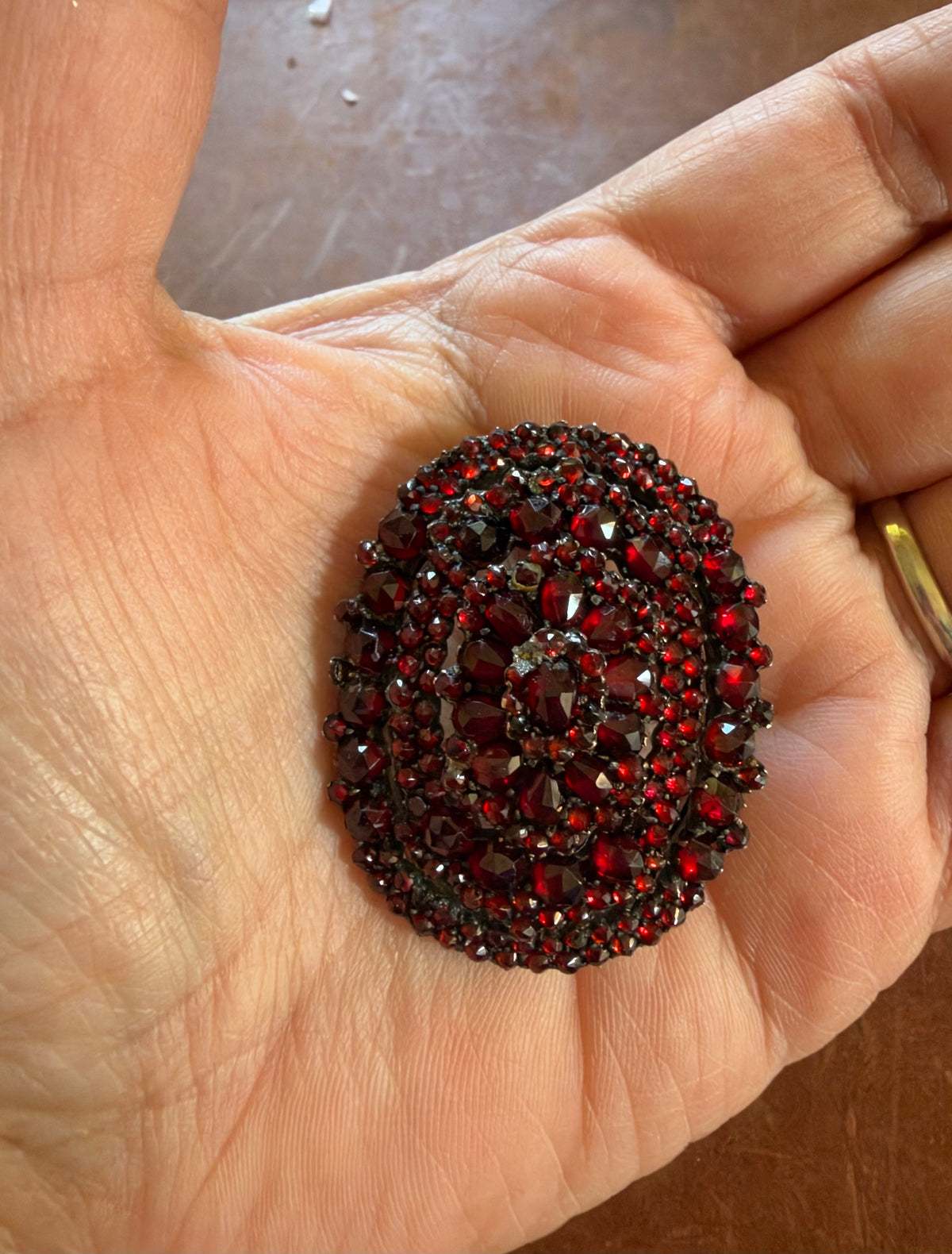 Antique Brooch - Bohemian Garnet Pin