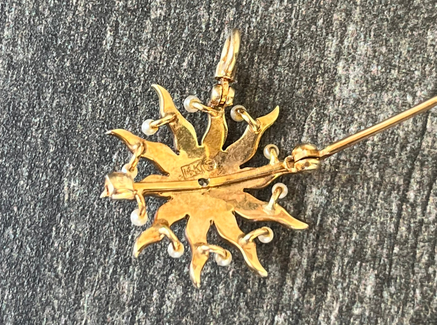 Victorian Star Pin/Pendant