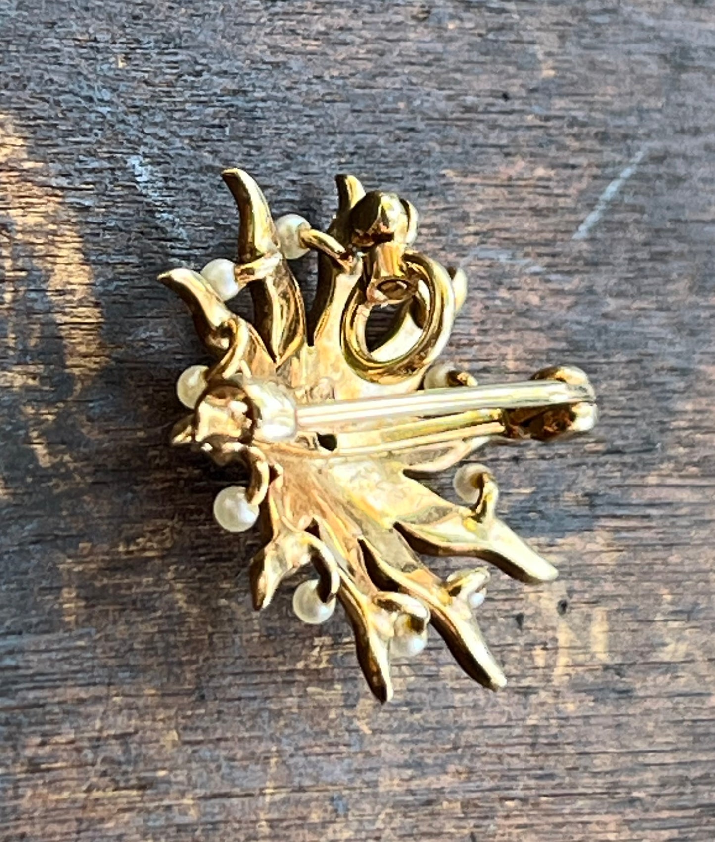 Victorian Star Pin/Pendant